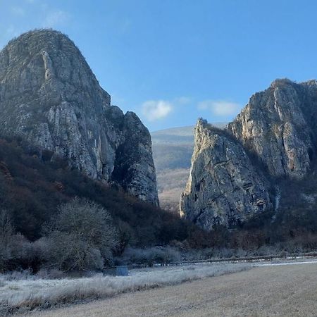 Golemi Kamik Pirot Vlasi Luaran gambar