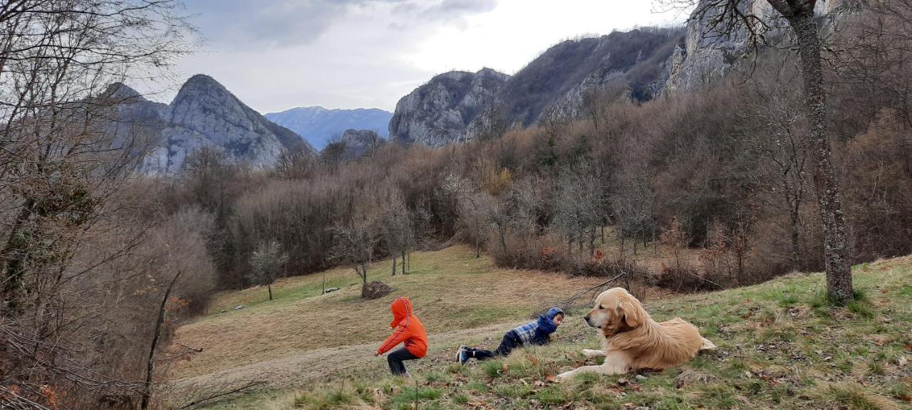 Golemi Kamik Pirot Vlasi Luaran gambar