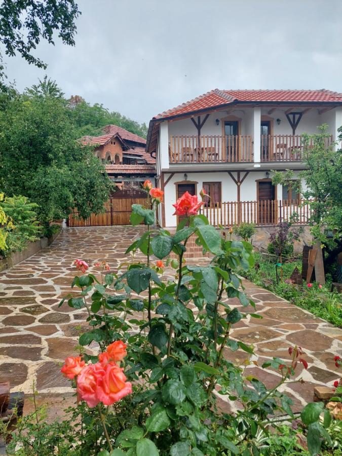 Golemi Kamik Pirot Vlasi Luaran gambar